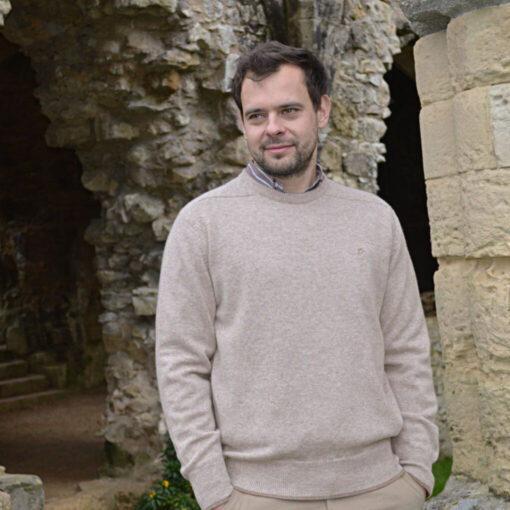 MEN'S SWEATER CREWNECK LAMBSWOOL BEIGE - Image 4